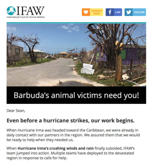 IFAW disaster appeal 2017