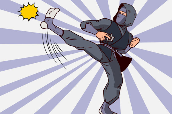 Fundraising Ninja