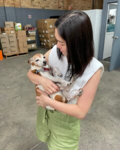 PetsoftheHomeless FB image